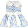 Blue Daisy Dog Dress with Matching Leash